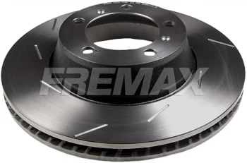 Pair Of Rear Brake Discs Fremax
