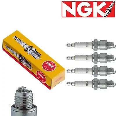 NGK Standard Plugs DCPR8E - NGK