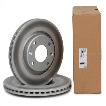 Original Front Brake Discs Peugeot 301