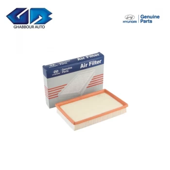 Original Air Filter Hyundai Verna