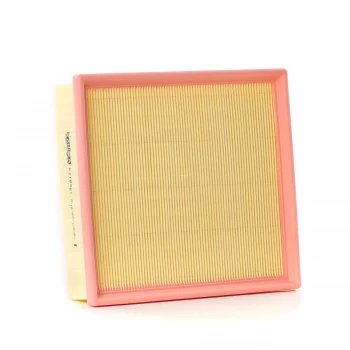 Filtron Air Filter BMW F20-F30