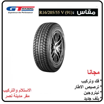 GT Radial (CHAMPIRO BXT PRO) 205-55 R 16 V (91)