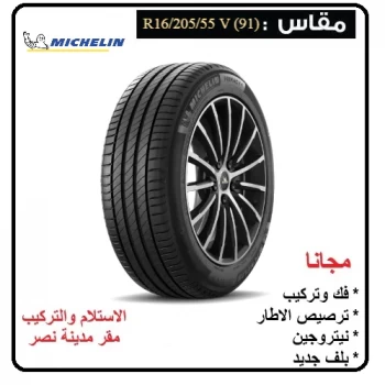 Michelin (Primacy 4) 205-55 R 16 V (91)
